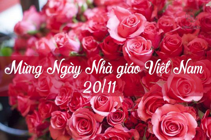 Top 20 quà tặng 20/11 tri ân thầy cô giáo đáng mua nhất