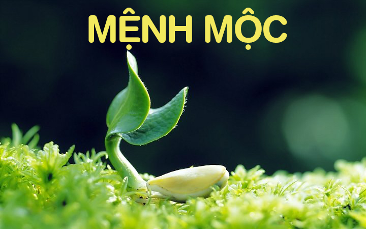 Trang sức phong thủy cho người mệnh Mộc